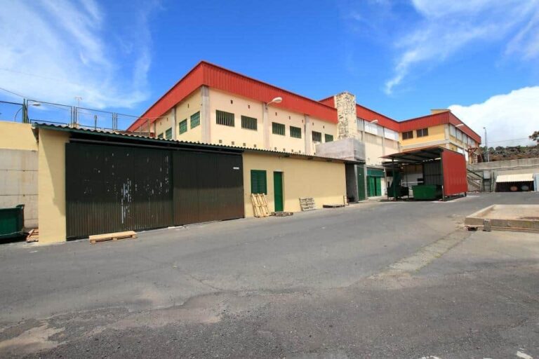 El PSOE de La Palma denuncia la falta de veterinario en el matadero insular