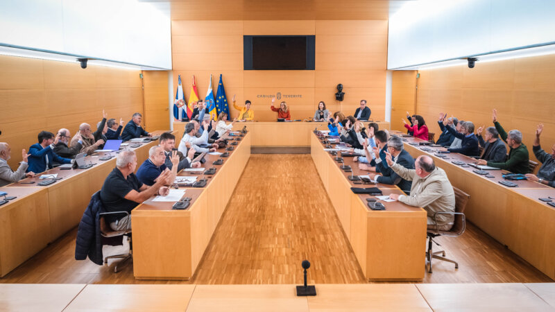 Imagen del pleno del Consejo de Aguas de Tenerife en el Cabildo Insular