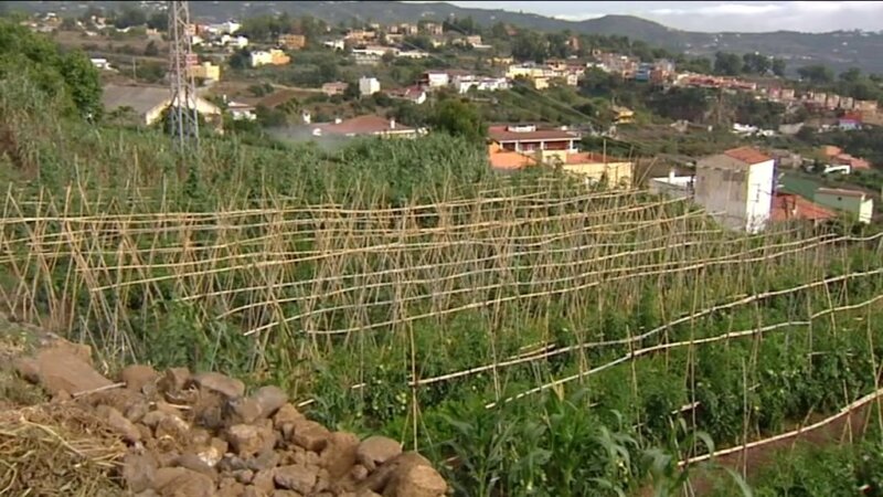 Posible escasez de agua en las medianías del norte de Gran Canaria