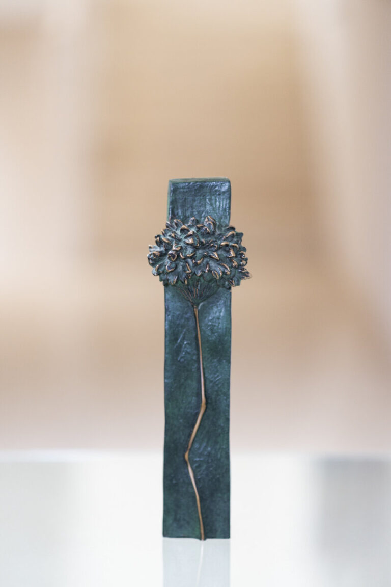 ‘La hojarasca’, de la canaria Macu Machín, mejor película española en ZonaZine del Festival de Málaga