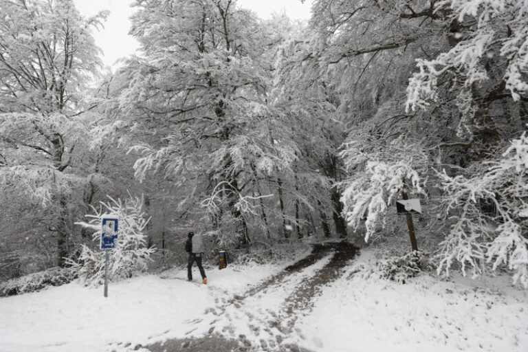 Día Mundial del Clima