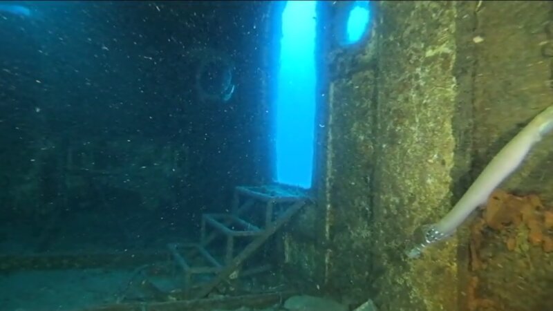 Los pecios de barcos hundidos en aguas canarias, en 'NdR'