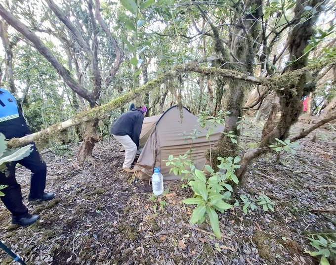 Desalojan a un grupo de turistas acampados en una zona protegida en Tenerife