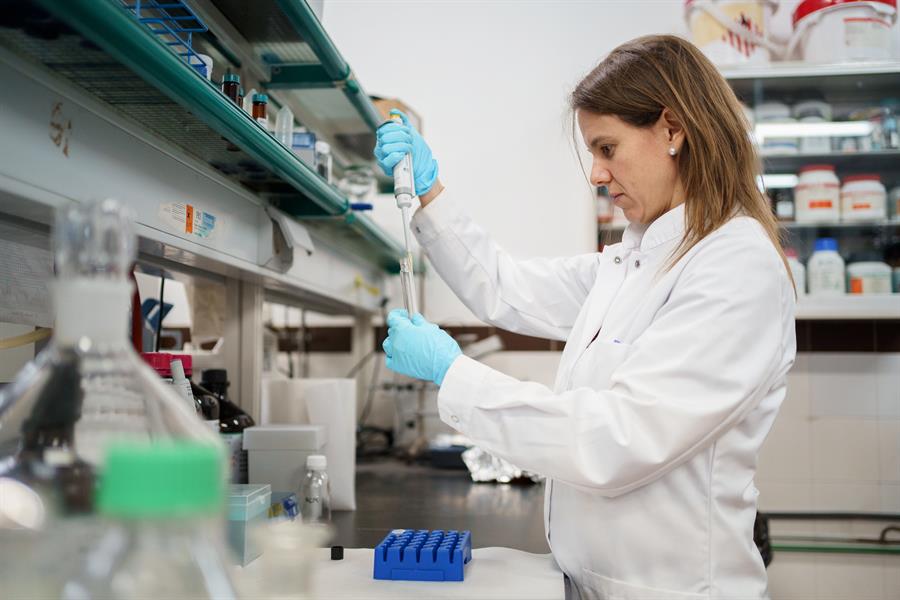 Una investigación realizada por químicos de la Universidad de La Laguna (Tenerife) ha hallado en muestras de purés y compotas infantiles la presencia de al menos cinco ftalatos, unos compuestos utilizados como plastificantes para los envases de alimentos que han sido considerados disruptores endocrinos, según ha explicado la autora principal del estudio, la profesora ayudante Bárbara Socas.