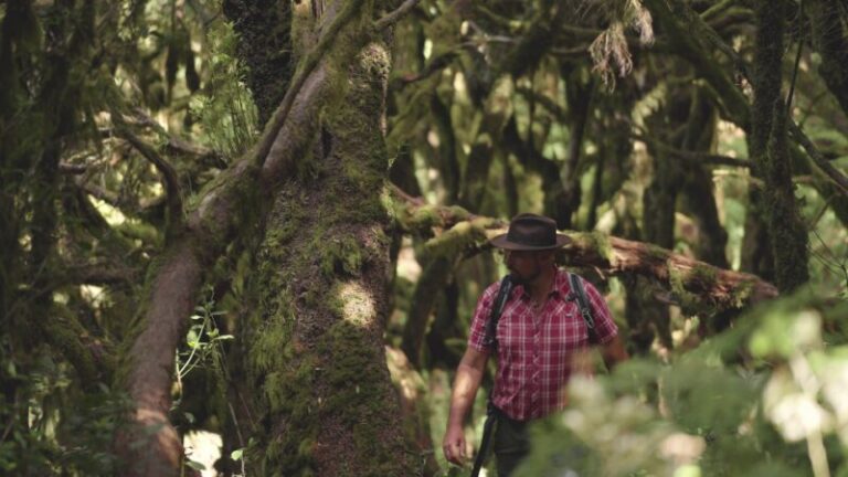 ‘Rincones isleños’ estrena su segunda temporada en Televisión Canaria