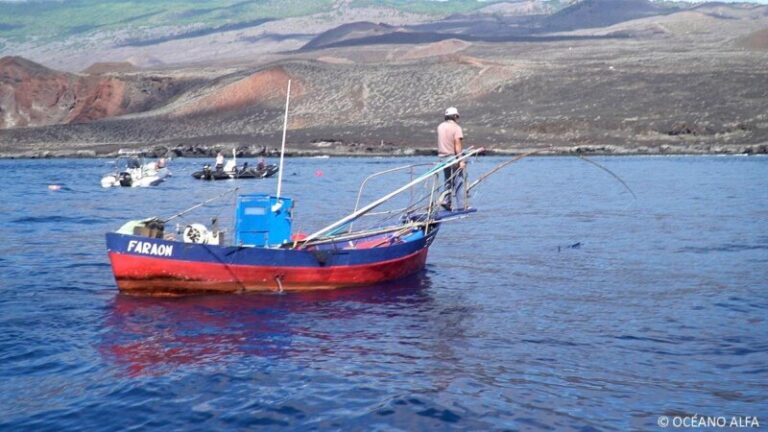 Los pescadores de Galicia, Valencia y Canarias se suman a las reclamaciones del sector primario
