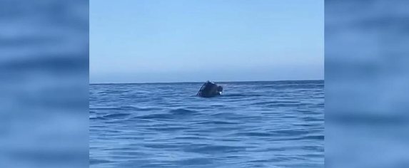 Coche caído mar