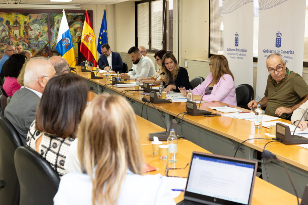 El Gobierno canario modificará los requisitos para ser transportista profesionalEn la imagen la directora general de Transportes de la comunidad autónoma, María FernándezFernández, en la reunión que mantuvo este viernes con la Mesa de Viajeros y del Transporte de Mercancías. Fotografía: Gobierno de Canarias