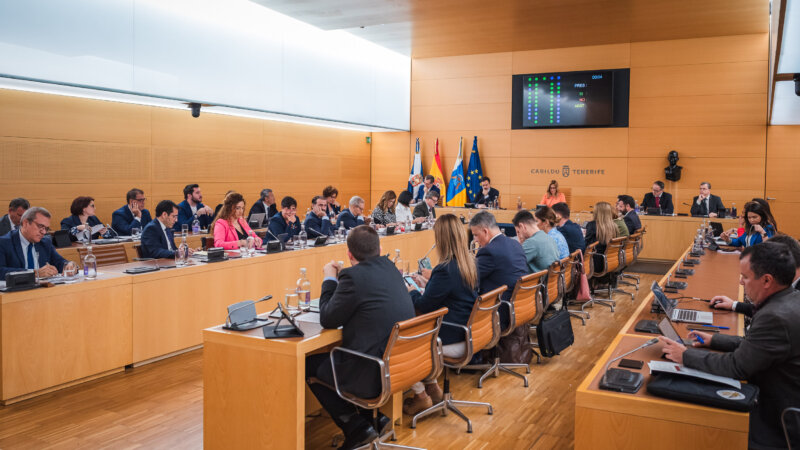 Pleno Cabildo Tenerife