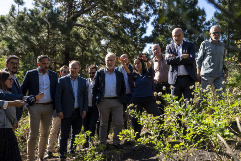Torres visita la fosa de El Pino del Consuelo, donde se realizaron las primeras exhumaciones de Canarias