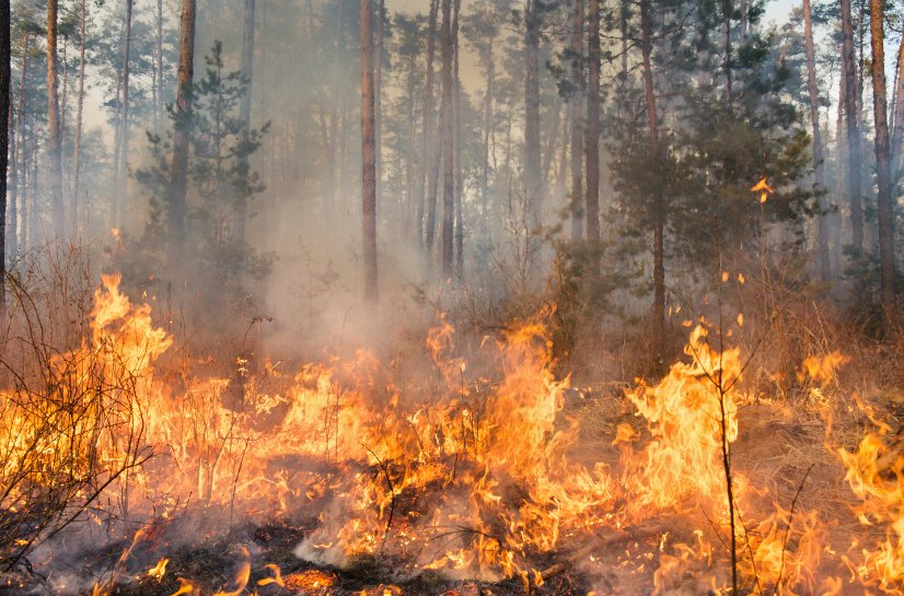 La dificultad en incendios urbanos forestales requiere de la programación de formaciones específicas para mejorar las actuaciones