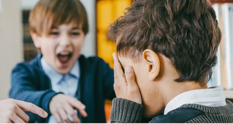 Se propone la implantación del psicólogo educativo en Canarias para combatir el acoso escolar