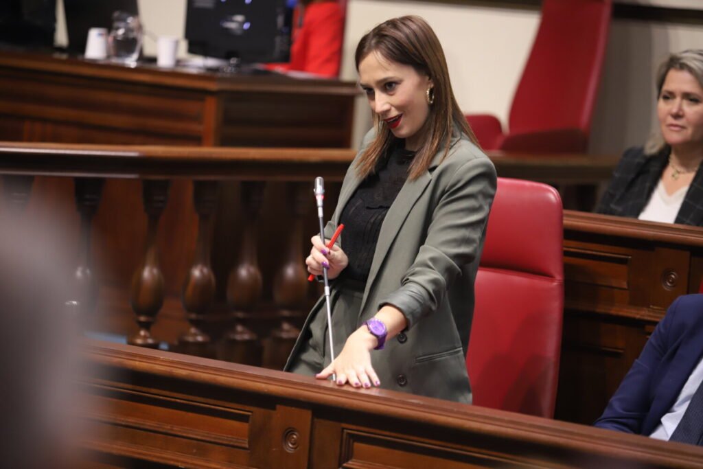 Advertencia del PSOE sobre la Ley de Memoria Democrática. Imagen: La diputada del Grupo Socialista en el Parlamento de Canarias, Nira Fierro. PSOE Canarias