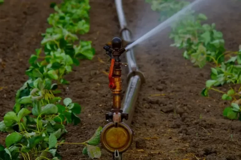 AHI acusa al Cabildo de obligar al campo a afrontar todo el coste del agua