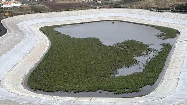 Tenerife en emergencia hídrica