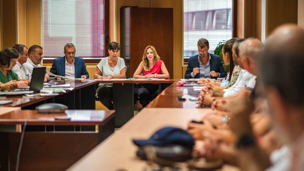 El Cabildo de Tenerife convoca la Mesa de la Sequía para buscar medidas ante un verano "dífícil"