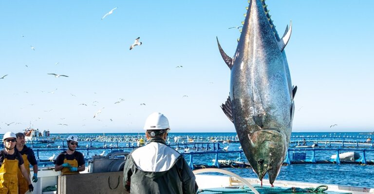 La huelga de los Inspectores de Pesca afectará a la campaña del atún en Canarias