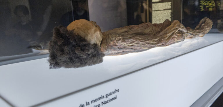 Tenerife busca el regreso de la momia de Erques desde Madrid