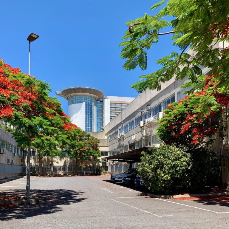 Se cumplen 50 años de la primera promoción de médicos de la ULL