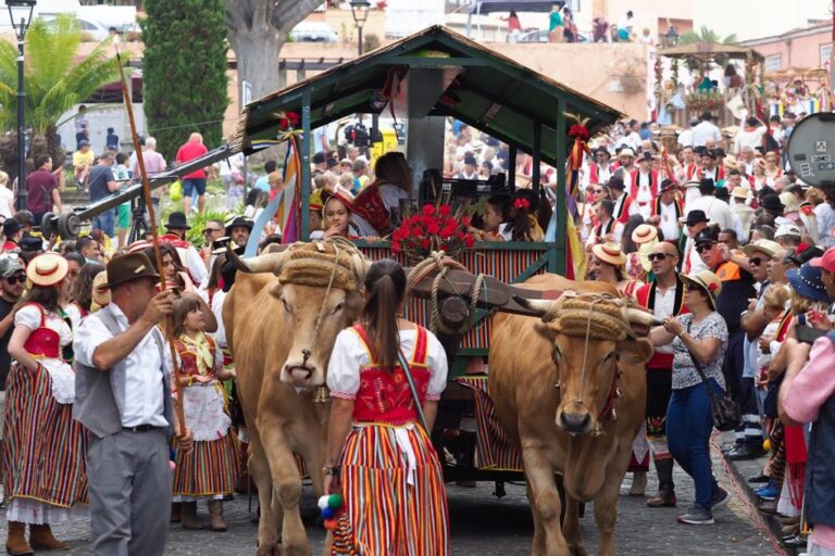 La Orotava acoge la tradicional Romería de San Isidro Labrador y Santa María de La Cabeza