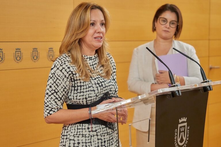 Dávila anuncia un concurso internacional de ideas para diseñar el Tren del Norte