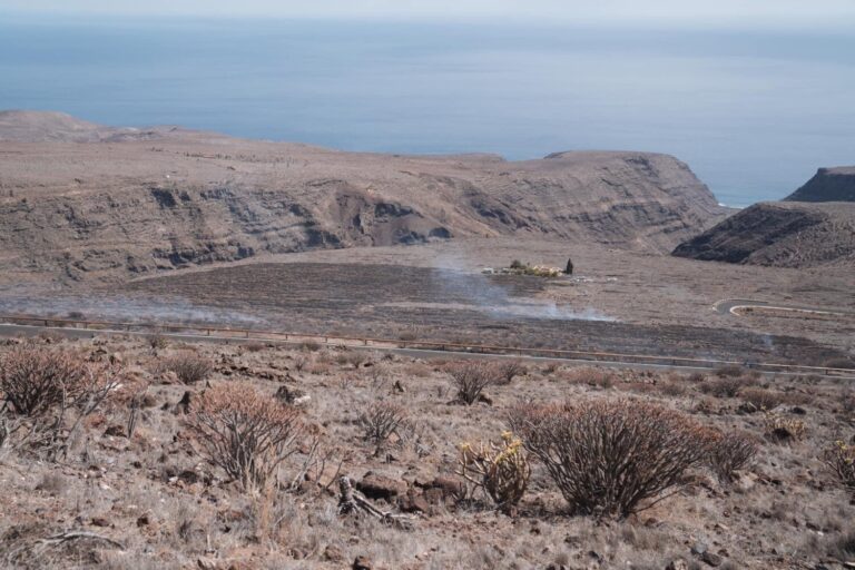Controlado el incendio declarado este viernes en el sur de La Gomera