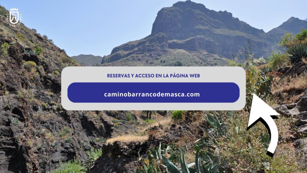 Para acceder al barranco de Masca hay que reservar plaza con antelación / Cabildo de Tenerife