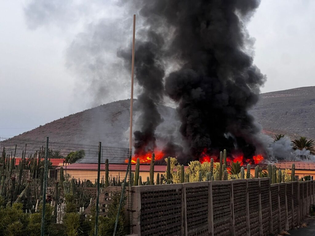 Imagen del incendio en un vivero en Güímar. Foto del Cabildo de Tenerife