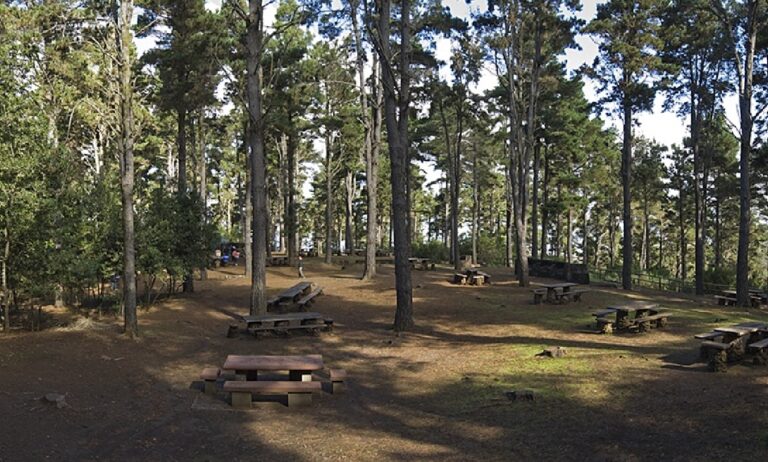 Tenerife da por finalizada la prohibición de hacer fuego en las áreas recreativas