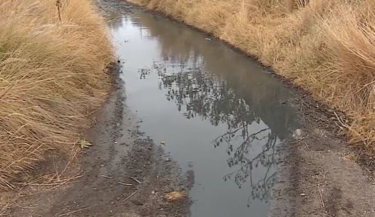 Estudian la procedencia de un vertido de aguas residuales en Salinetas, Gran Canaria