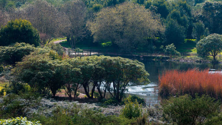 El otoño llega a Canarias con un clima más seco y cálido de lo habitual
