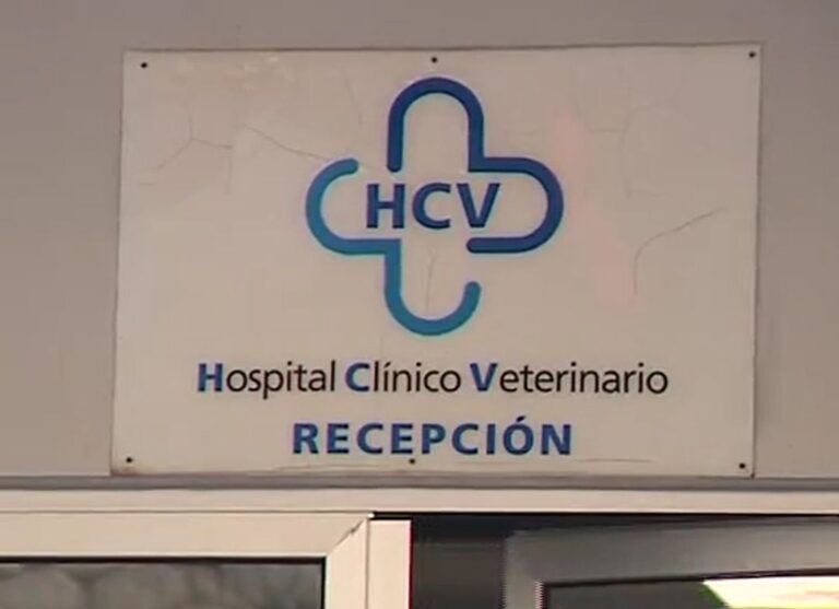 El personal del hospital veterinario de la ULPGC anuncia paros si no aumenta la plantilla