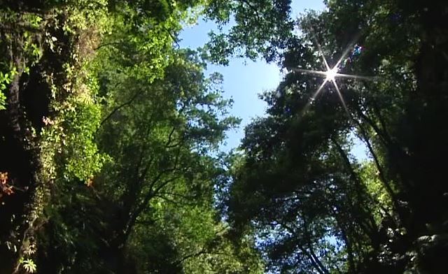 La Palma analiza el futuro del turismo en Canarias