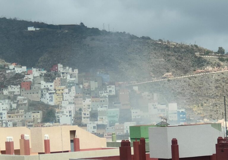 Drones con inteligencia artificial para controlar los incendios