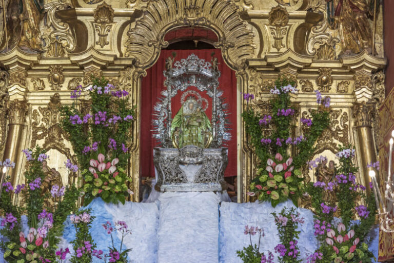 ¿Por qué baja la Virgen del Pino a Las Palmas de Gran Canaria?