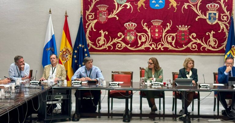 Los productores de plátano llevan sus demandas al Parlamento de Canarias