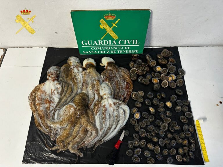 Interceptan 6 pulpos y 2 kilos de lapas a 3 hombres que pescaban sin licencia en Güímar