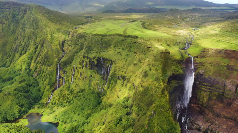 Canarias impulsa la cooperación forestal en la Macaronesia con unas jornadas en La Gomera