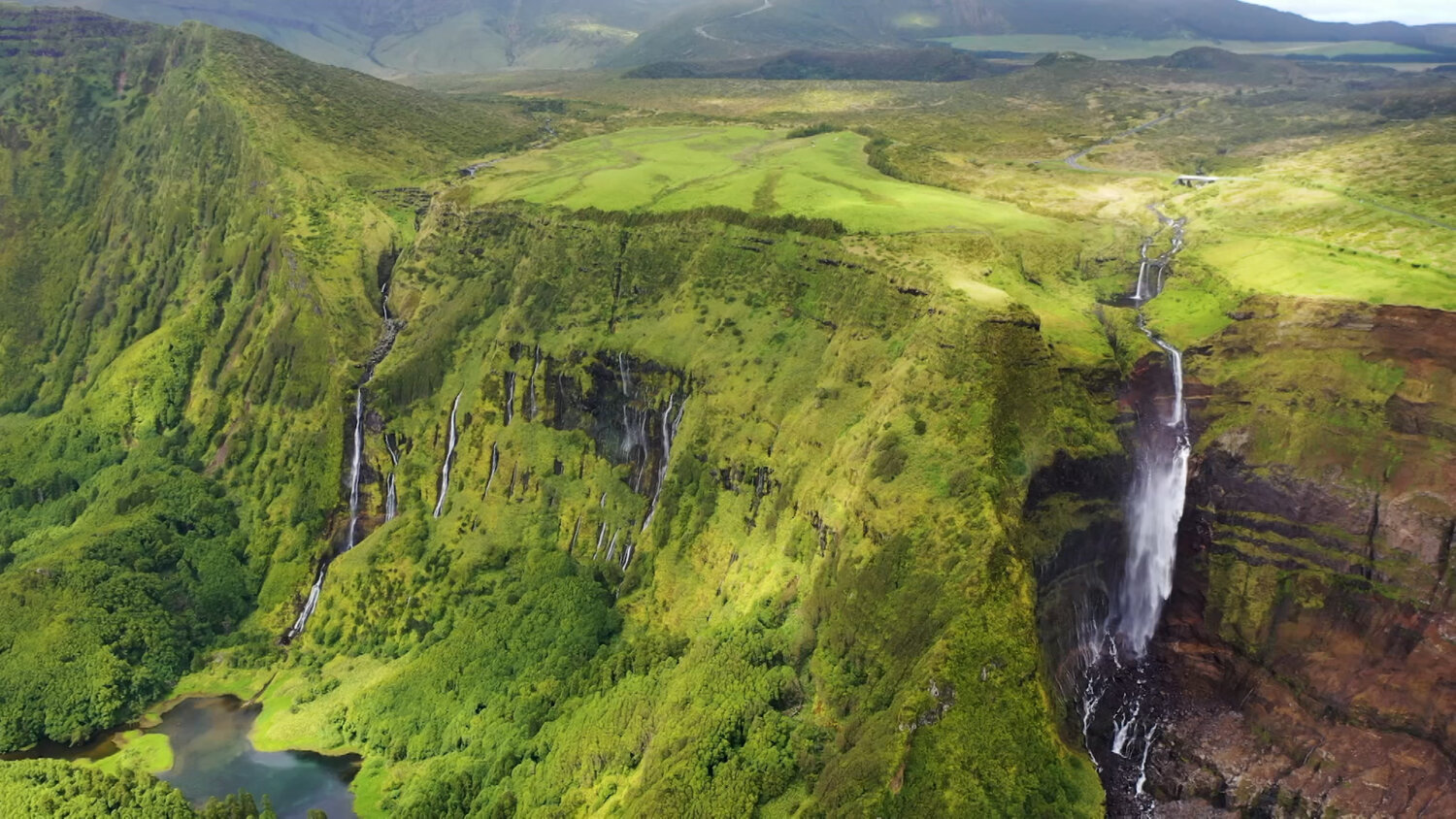 Canarias impulsa la cooperación forestal en la Macaronesia con unas jornadas en La Gomera