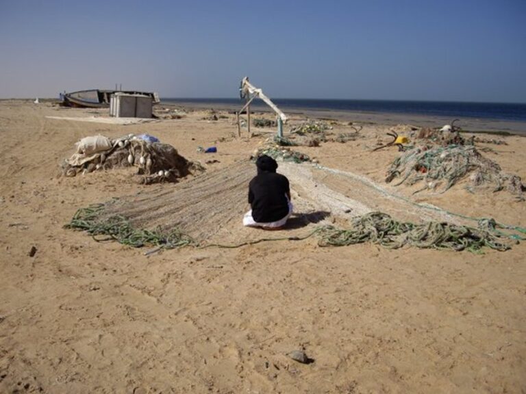 Mejorar la calidad de vida y crear nuevas oportunidades en Mauritania
