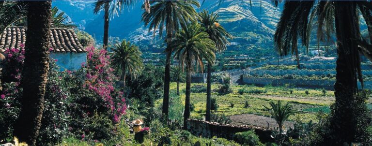 ‘De campo y mar’ conoce las oportunidades de Agaete