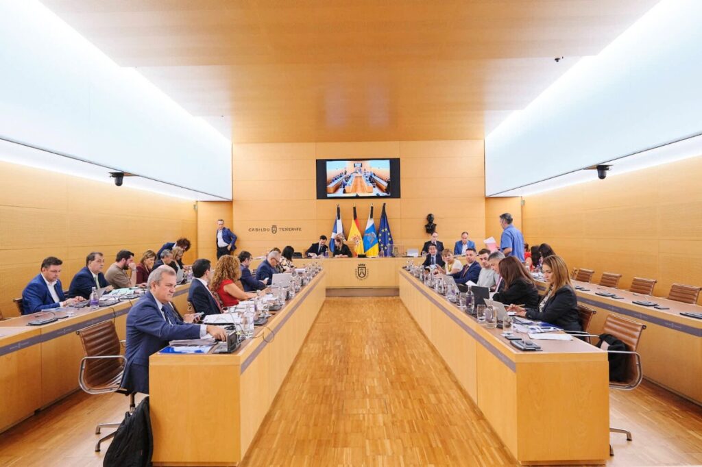 Sesión plenaria en el Cabildo de Tenerife