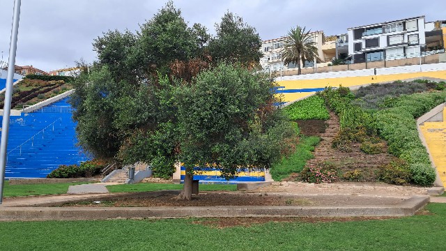 Crece la polémica por la instalación del escenario del Carnaval en el parque del Estadio Insular