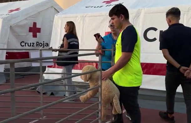 Los animales también necesitan ser rescatados durante una emergencia