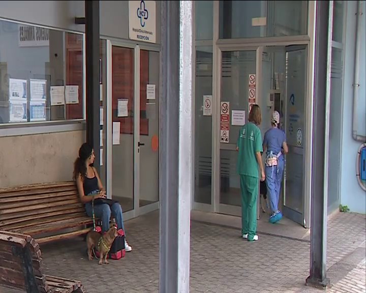 Los veterinarios del Hospital Clínico de la Universidad de Las Palmas seguirán protestando