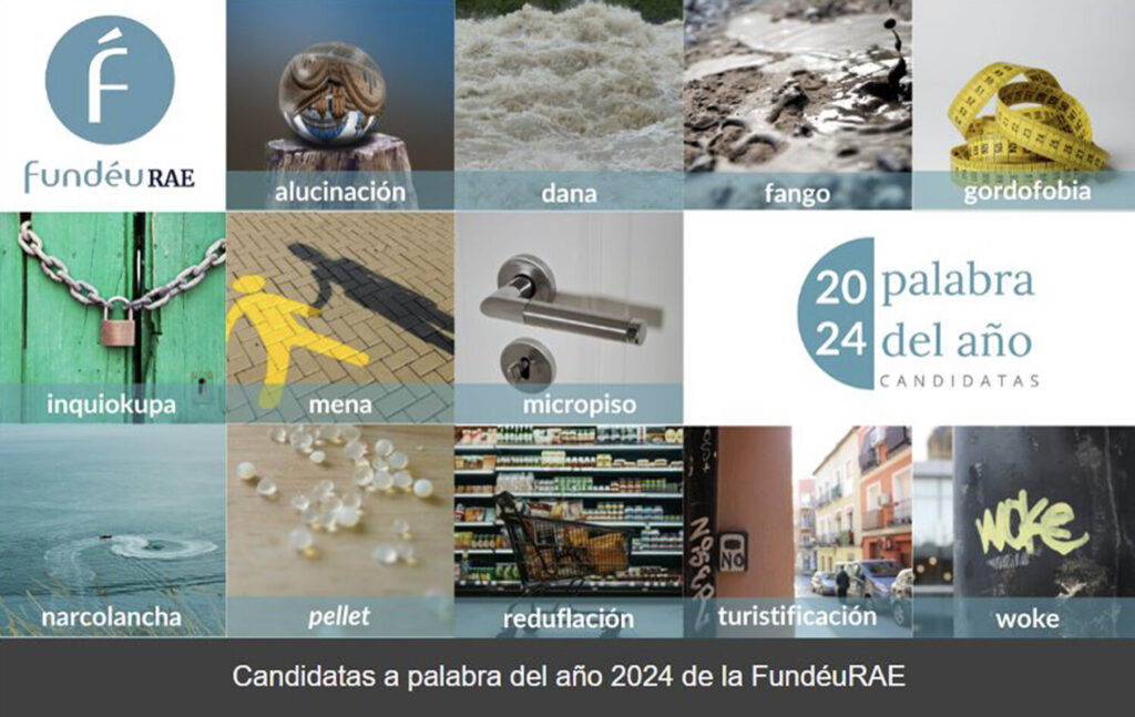 Collage con las candidatas a palabra del año 2024