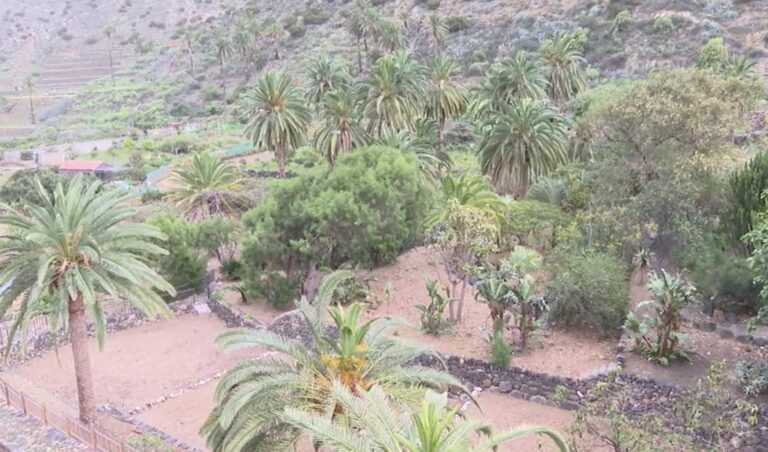 Reabre el Jardín Botánico de Vallehermoso