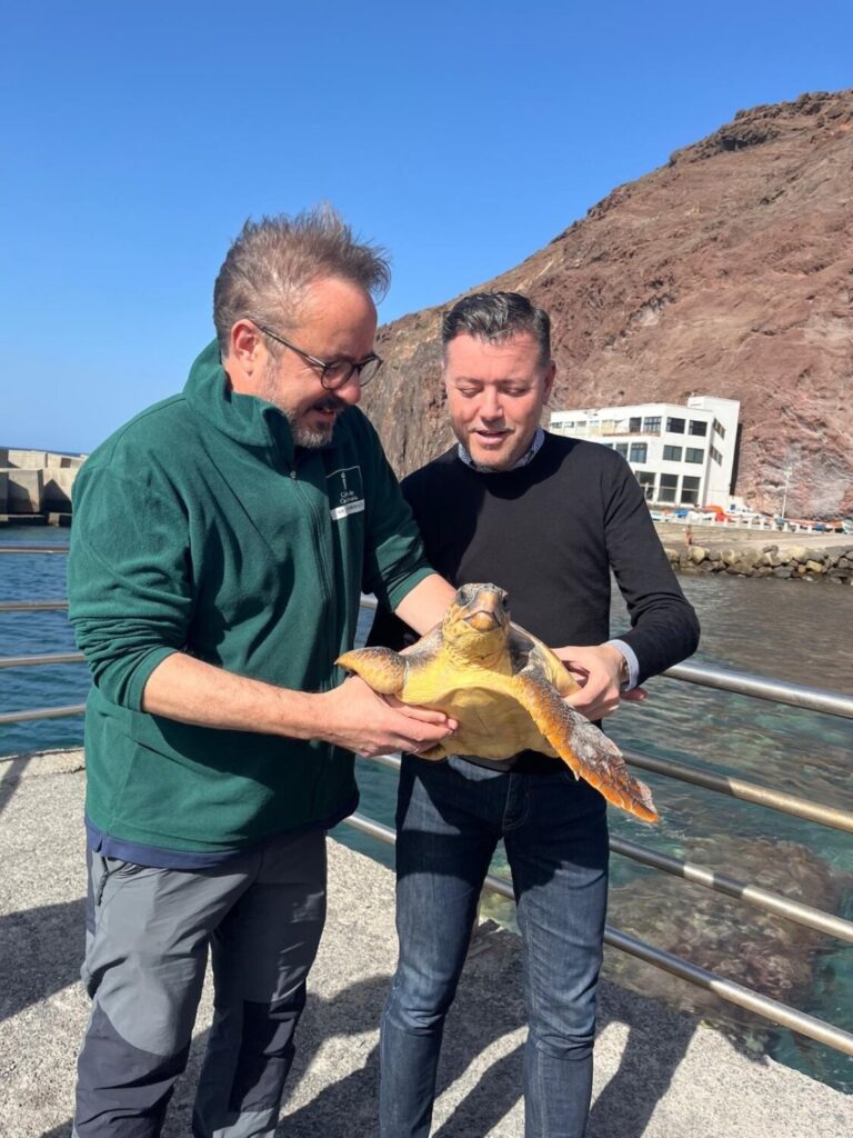 Liberan a dos tortugas en Sardina de Gáldar