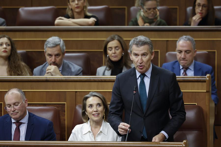 Alberto Núñez Feijóo en la sesión de control al Gobierno. Imagen EFE