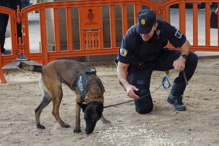Se forman a los perros guías de la policía local para localizar restos humanos
